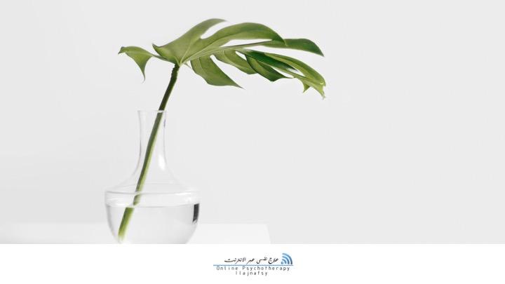 معايير الاستثناء من العلاج