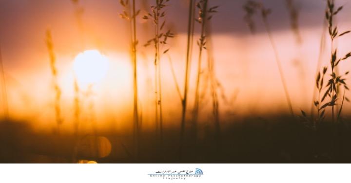 معالجة نفسية عبر الانترنت